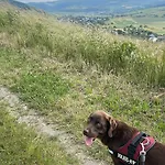 Sonnentaelchen Weinberg * Конц