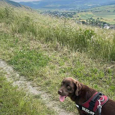Sonnentaelchen Weinberg * Konz